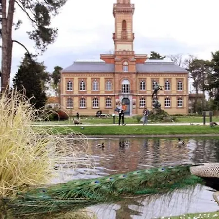 Apartmán Le Debussy - Studio - Wifi Fibre- Centre Ville- Parking Tarbes